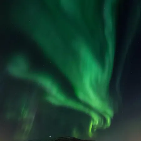 דירה Veien Til Senja פינסנס